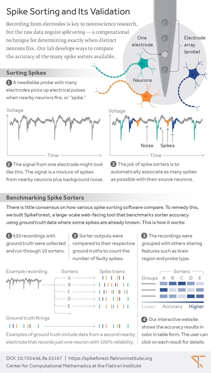 Image titled: Spike Sorting and Its Validation